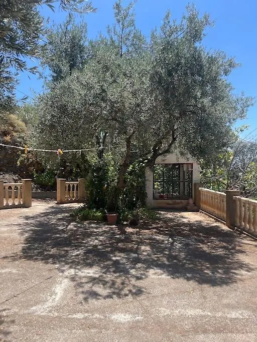 Farmhouse Surrounded By Centenary Olive Trees Olías Alpesi faház