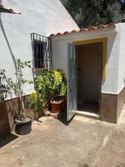 Farmhouse Surrounded By Centenary Olive Trees Olías Spagna